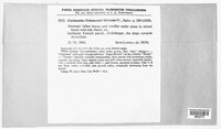 Image Associated With the Occurence